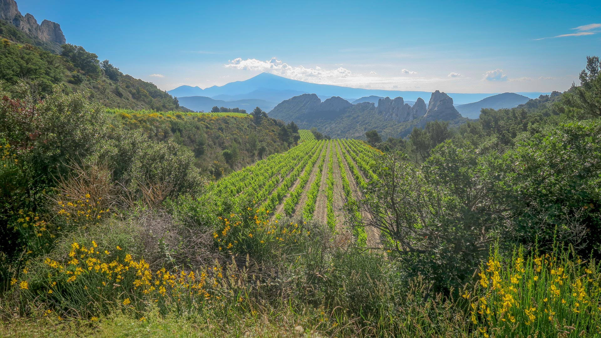 breathtaking views on this road cycling trip in Provence