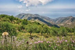 TRANS ANDALUSIA GRAVEL TRAVERSE