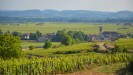 Burgundy : THE HEART OF BURGUNDY GUIDED